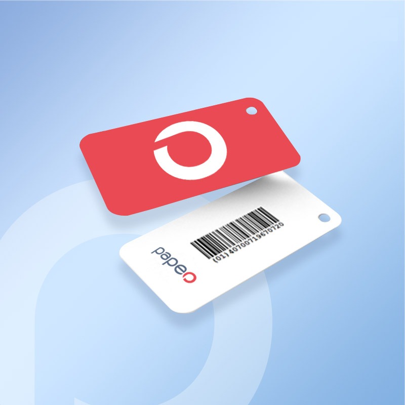Mini carte en plastique